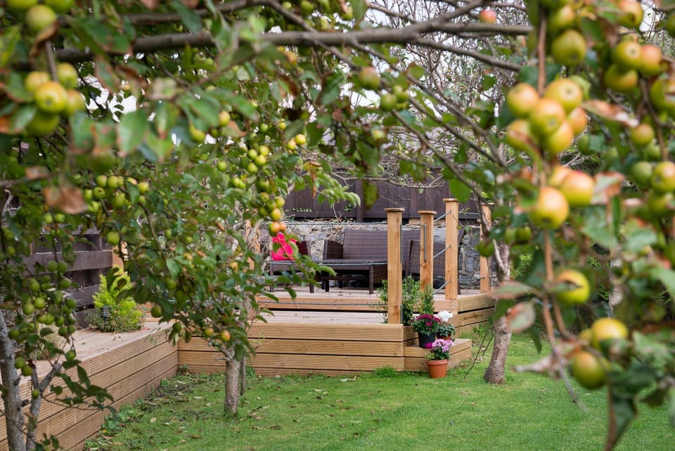 Rhonwil - Garden decking