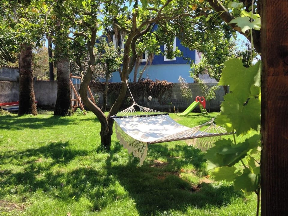 Garden with hammock