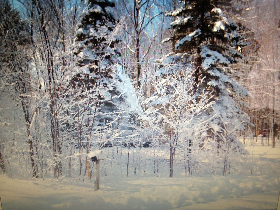 Winter on Vail Trail