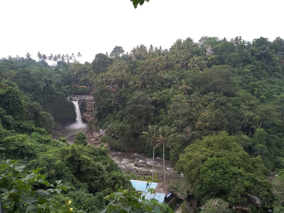 Ecotours
