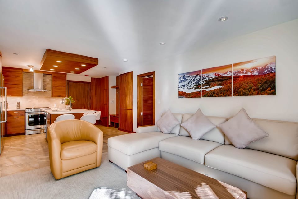 Living room - Living area and kitchen