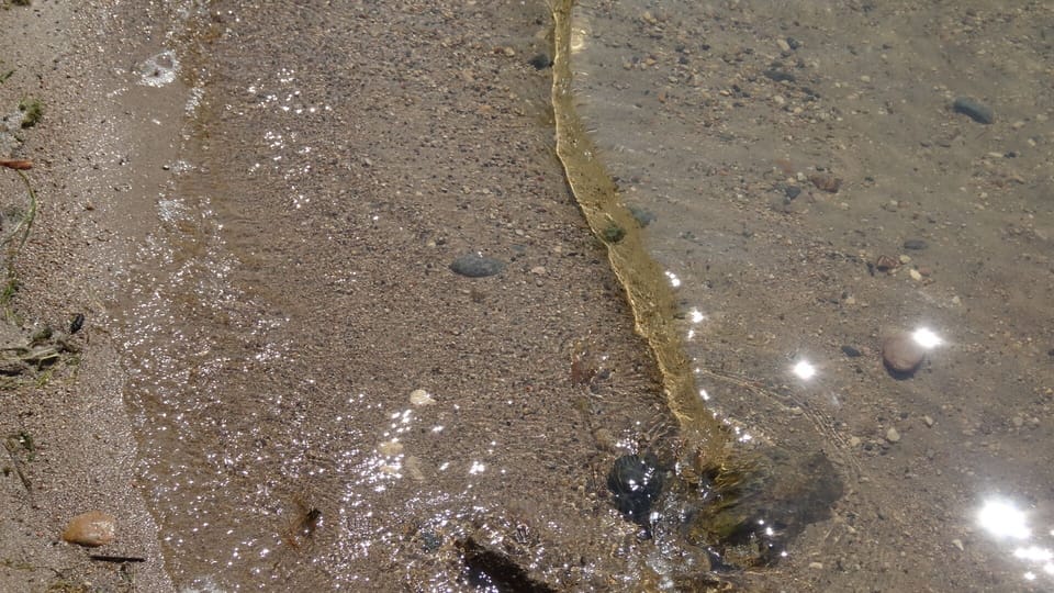 13 + feet of water clarity. Hard sand bottom.