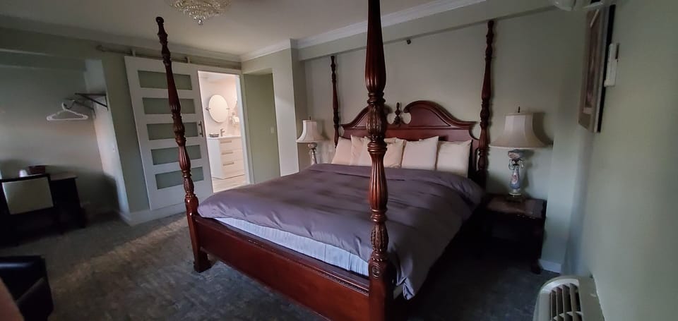 Deluxe Double Room 220 | 1 bedroom, hypo-allergenic bedding, iron/ironing board, free WiFi