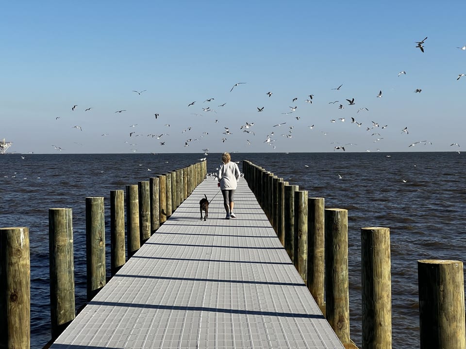 New pier rebuilt in 2021.  Great summer sunsets, fishing, crabbing