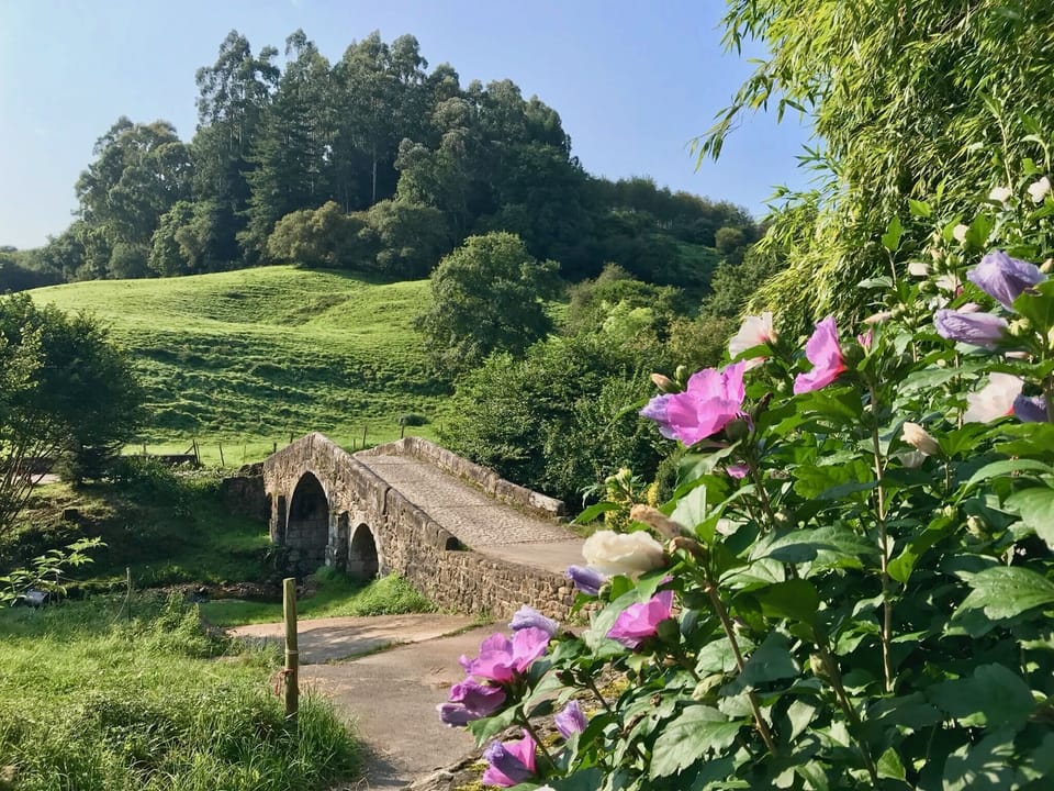 vista desde la zona sur del jardin hacia el río y el puente romano