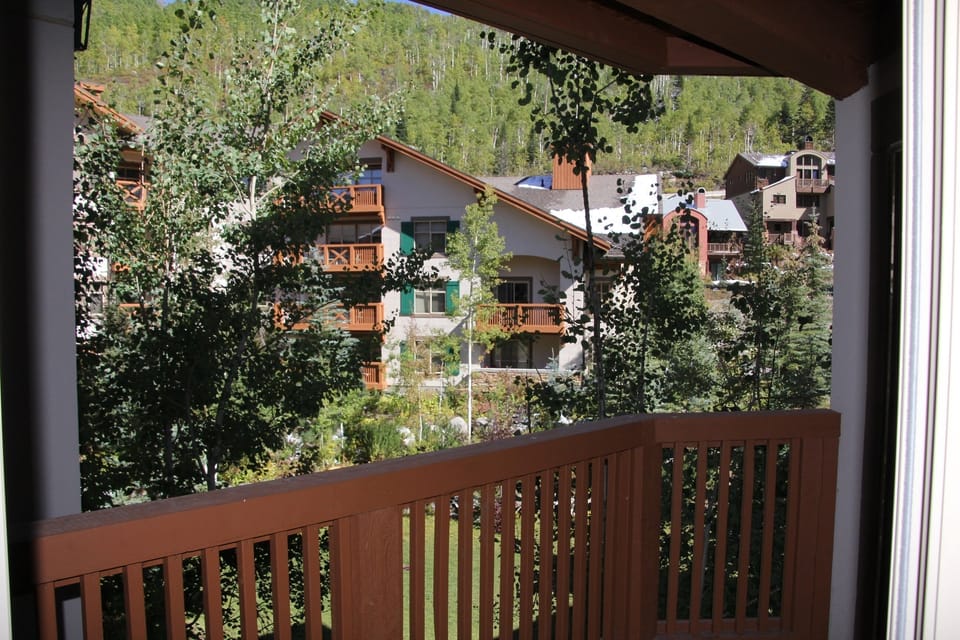 Summer View From the Deck