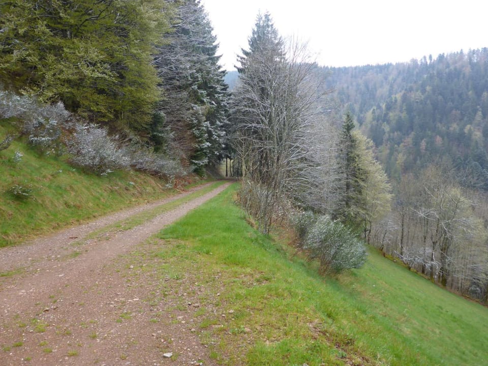 Fewo Titisee im Kaspershäusle nature