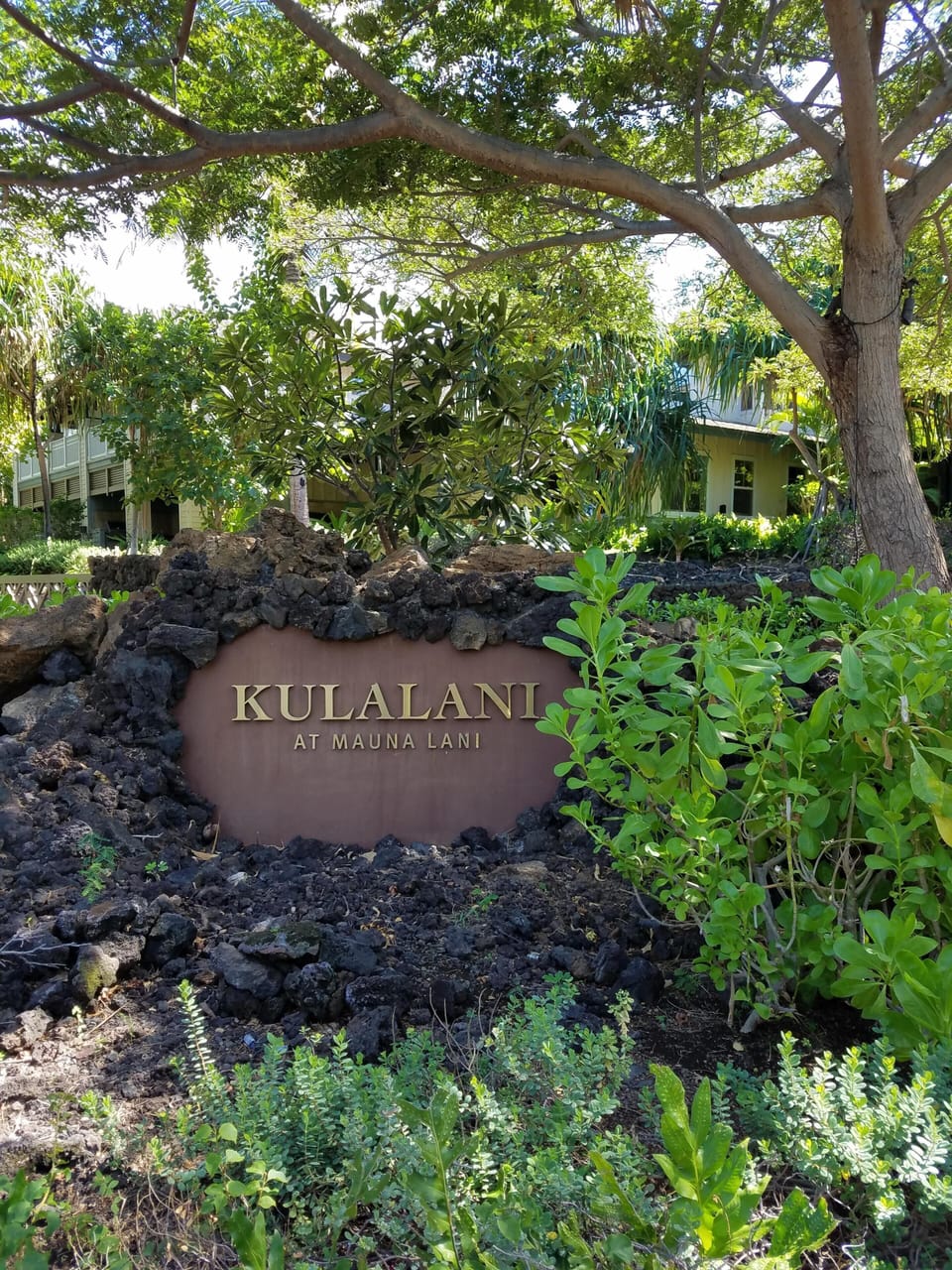 Main Entrance