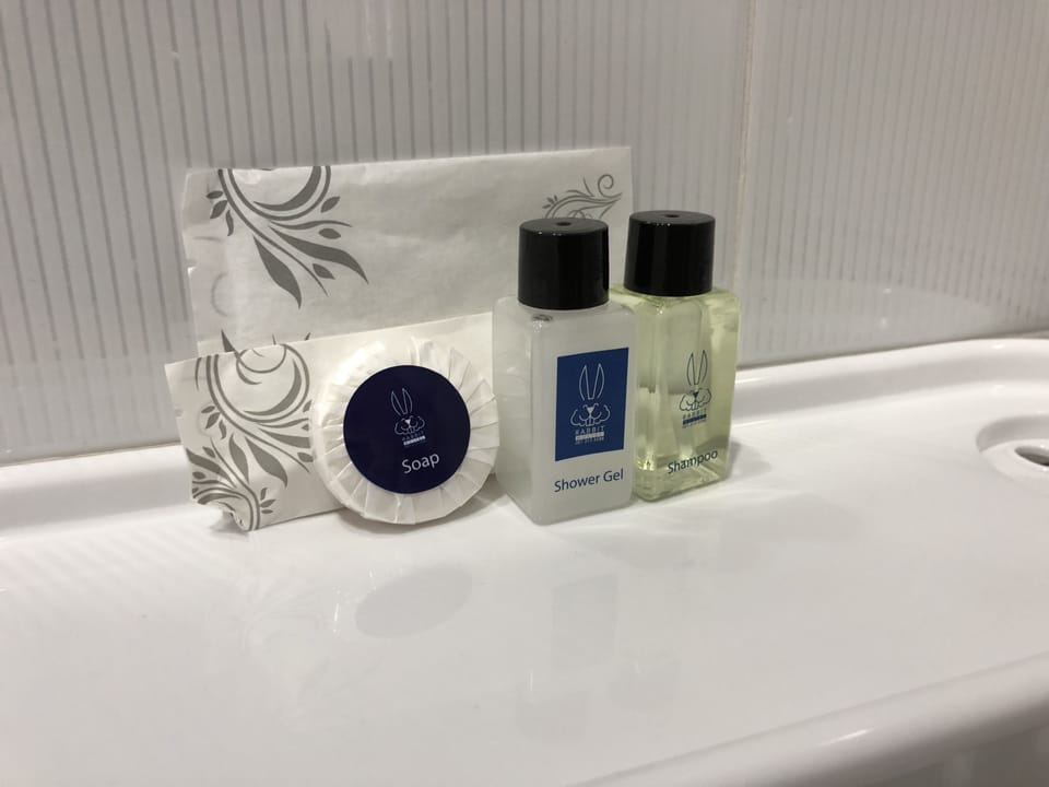 Standard Room | Bathroom | Shower, free toiletries, hair dryer, towels