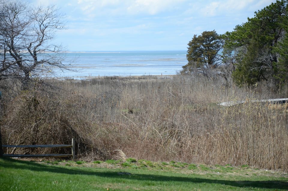 View high tide with peak of nature trail to the right that leads to Grays Beach.