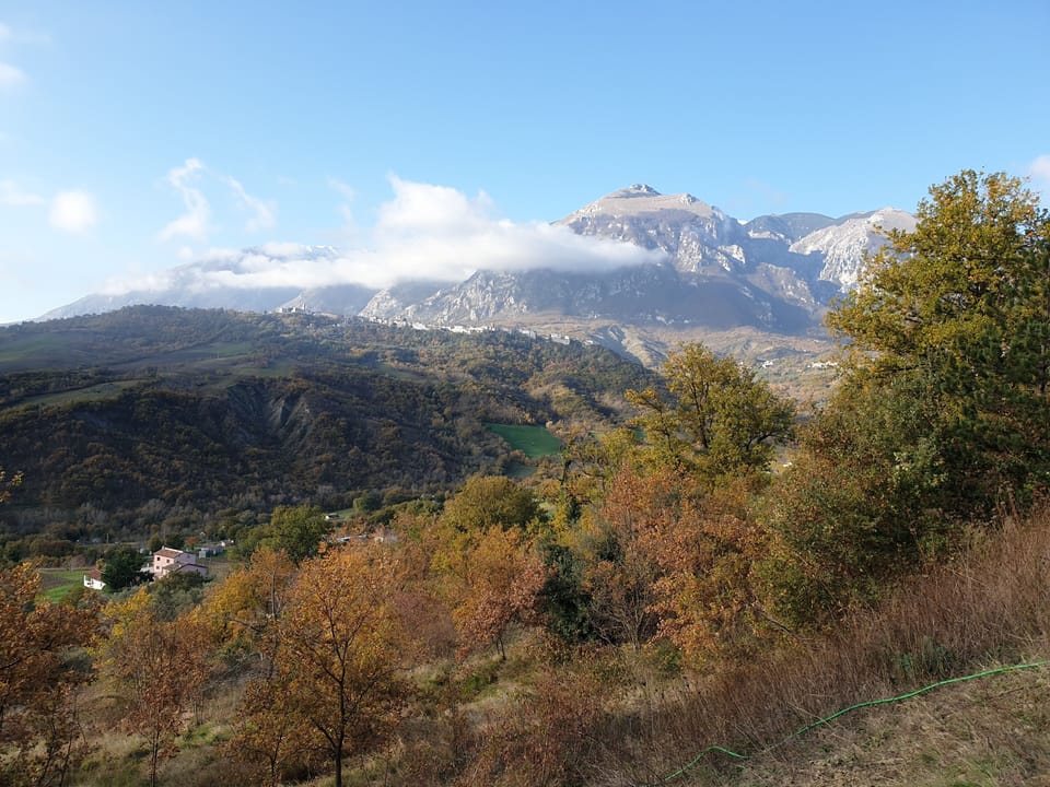 An autumnal view across the valley.