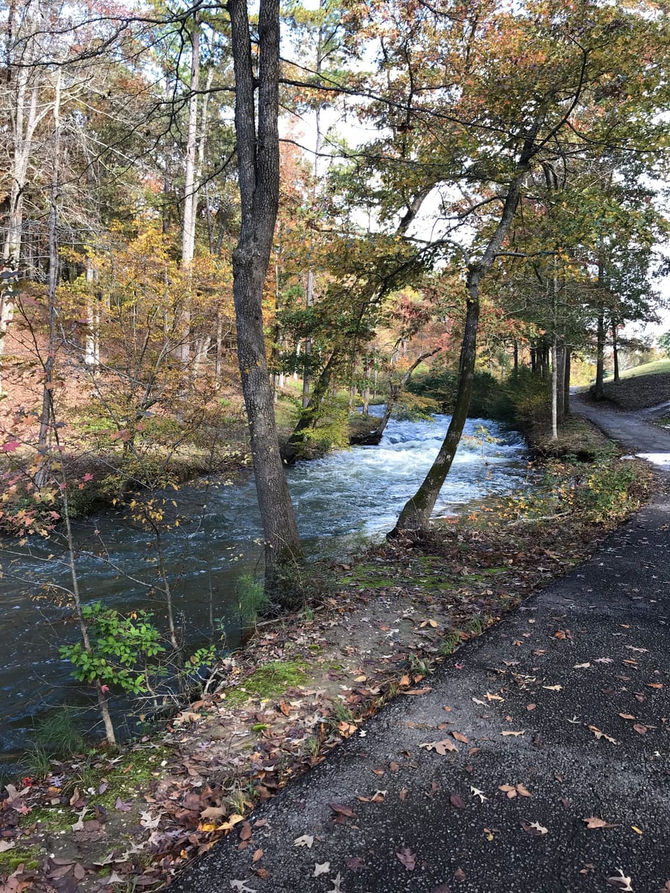 Hiking-Walking trail.....