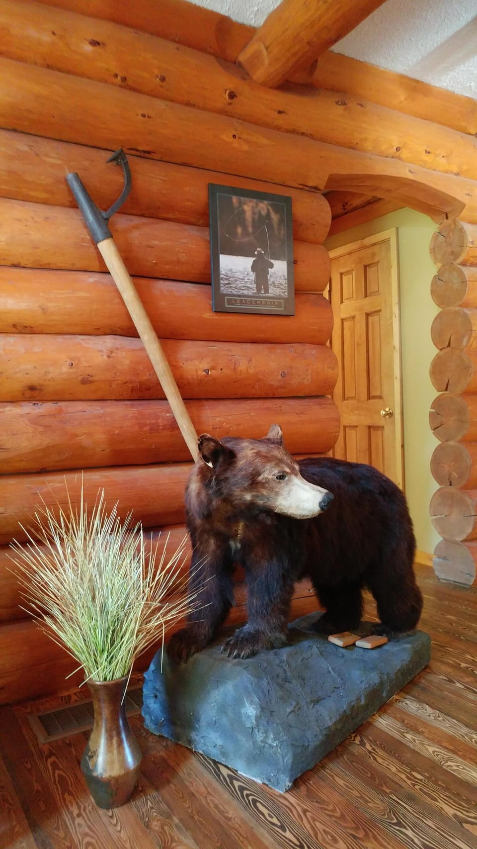 Our mascot (given to us many years ago)
