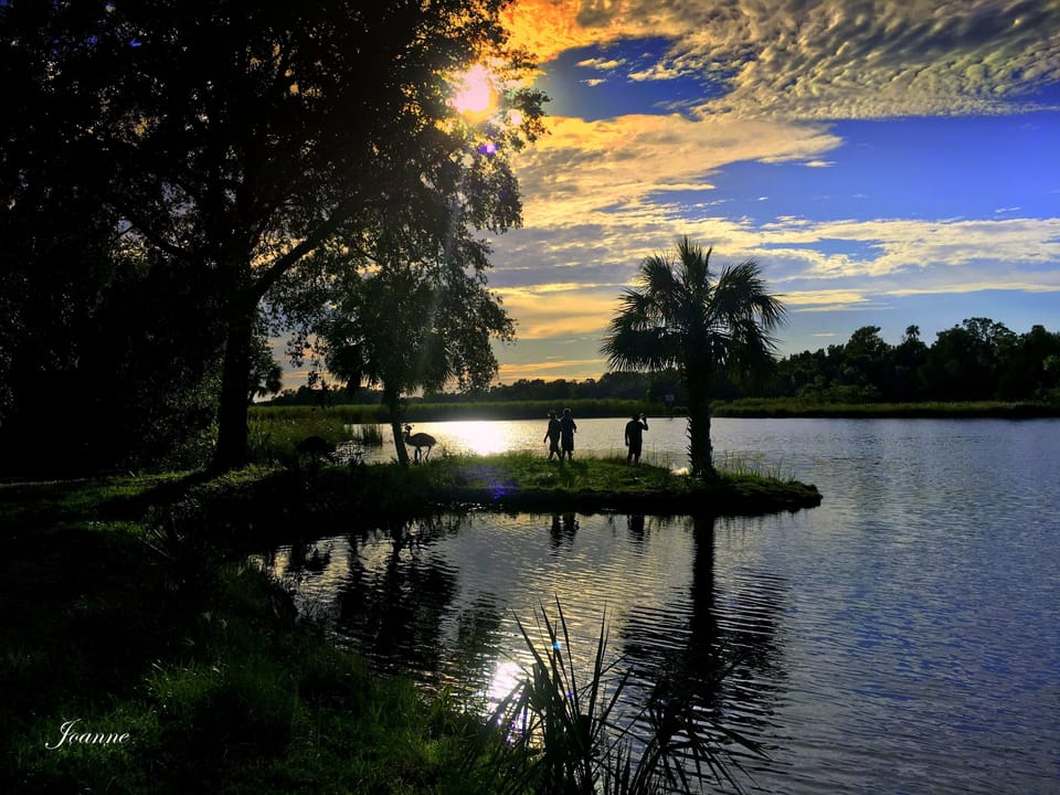 This photo was taken from the river a five minute paddle from the house