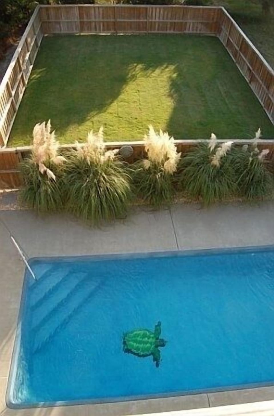Play area and private pool