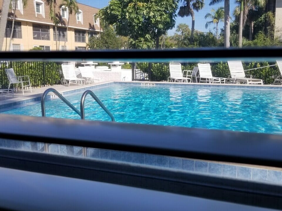 Beautiful pool view from our new plantation shutters.