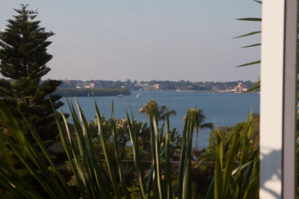 View from lanai