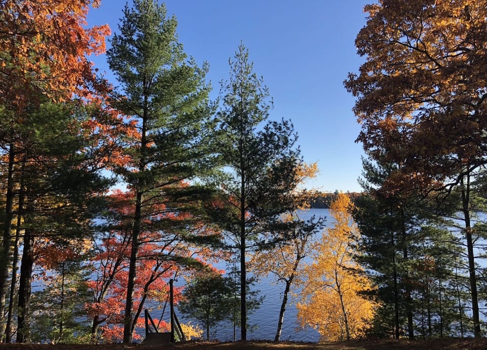 Nature's trick or treat