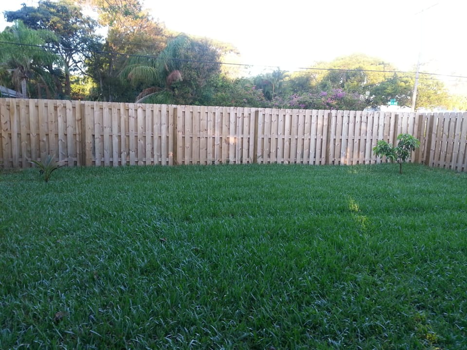 Backyard with privacy fence