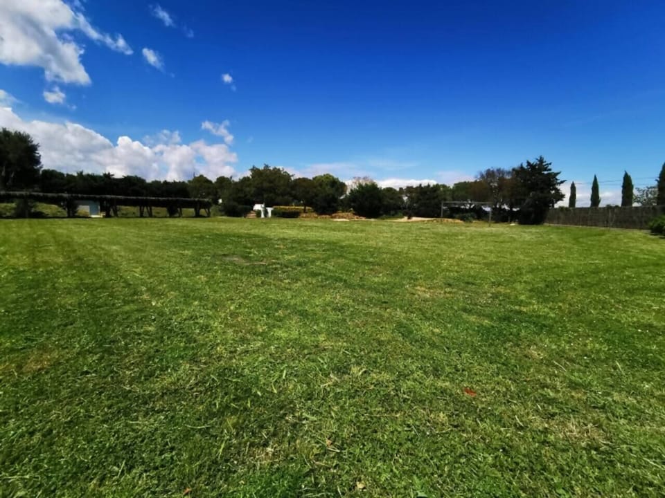 Garden,Garden view
