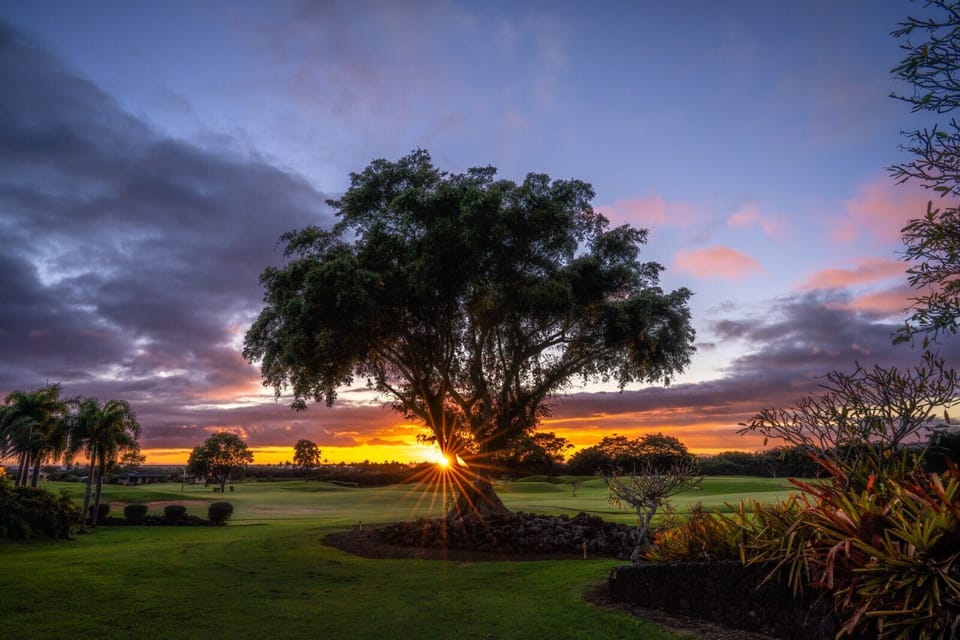Perfect Kauai Sunset from backyard!
