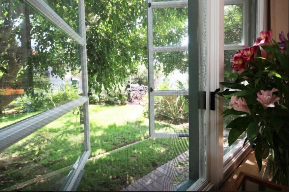 Garden view.