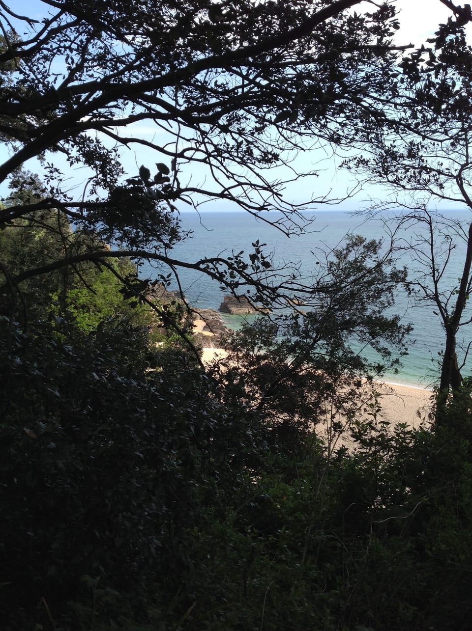 Walk to the Beach in just a few minutes.
