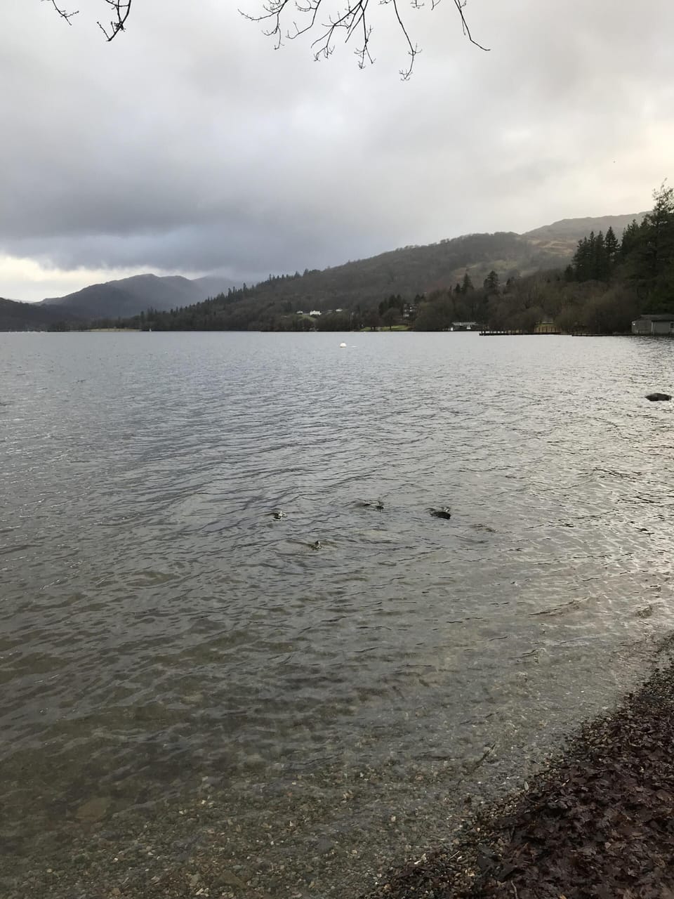 View of Windermere Lake from the marina 