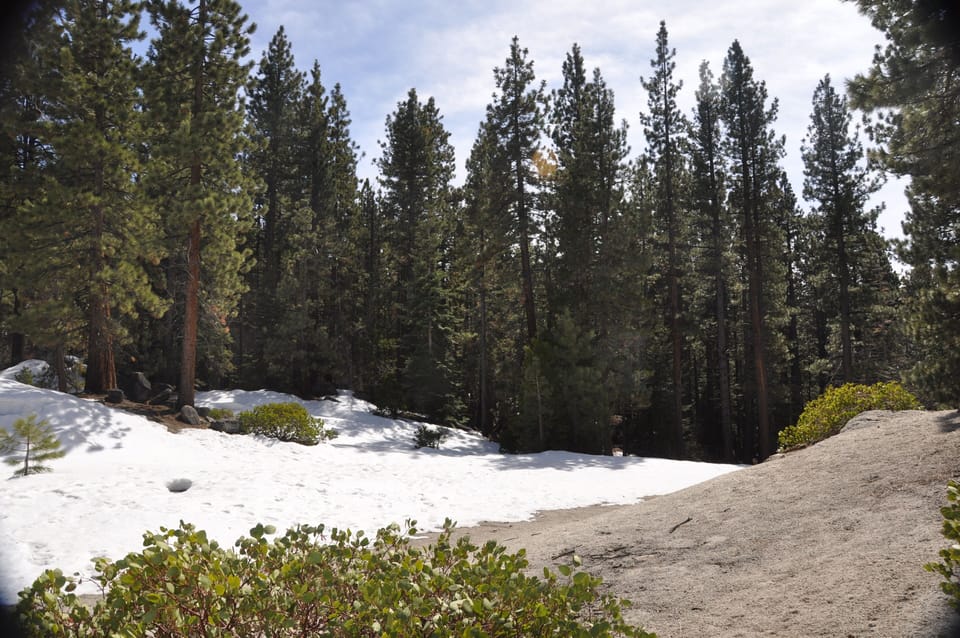 Tthe area up the hill behind the cabin I call "the beach" in April as snow melt