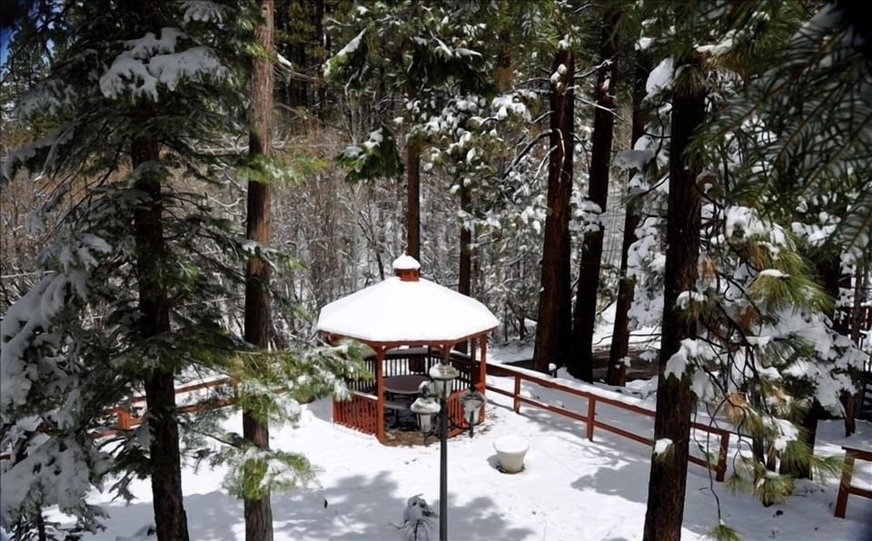 View from front deck, year around brook, great for breakfast in summer!