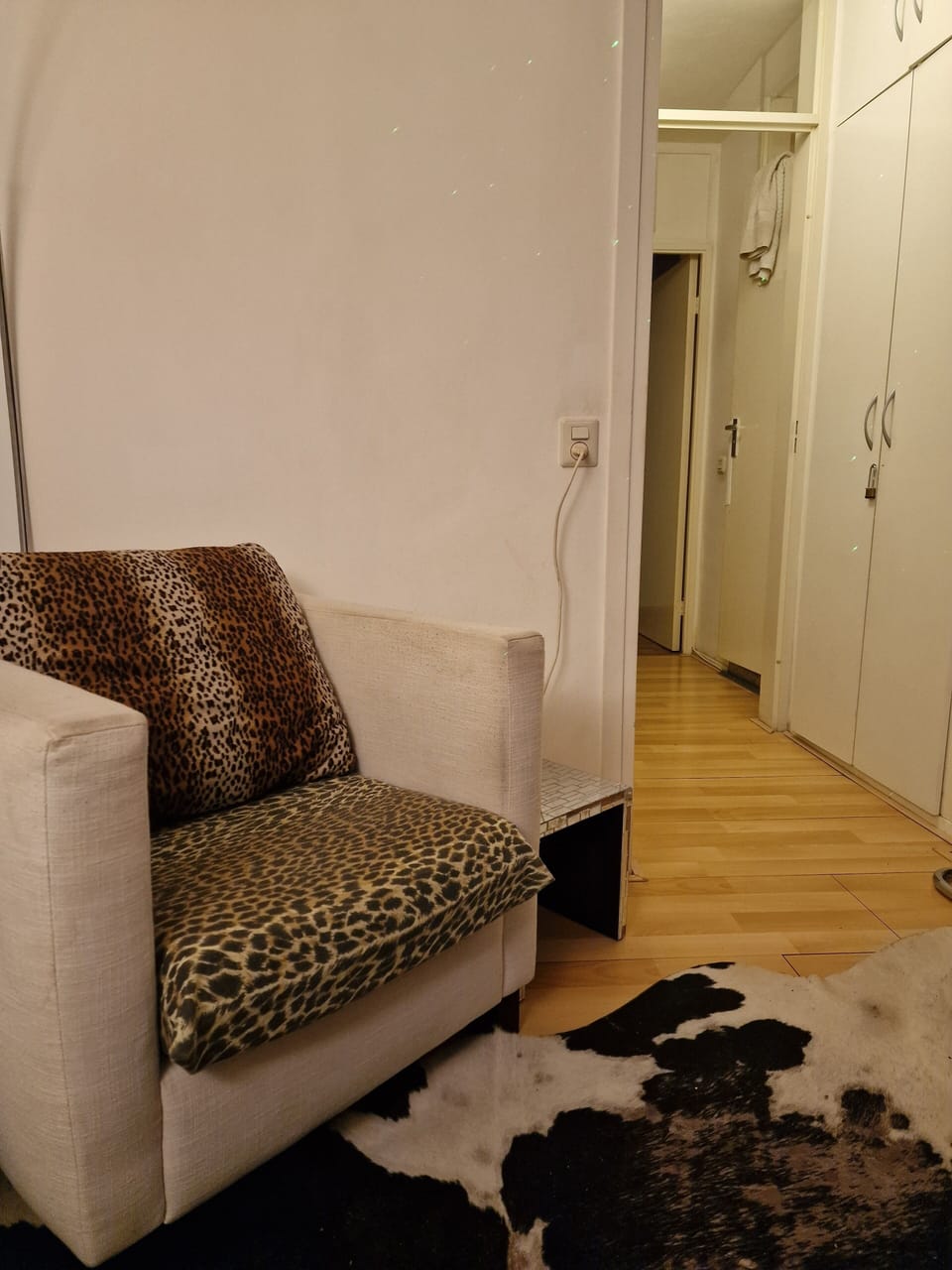 leopard  trendy  fateuils ' relax ! 