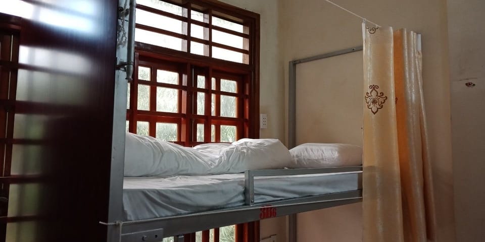 Bed in 6-Bed Mixed Dorm | WiFi (free), bed sheets