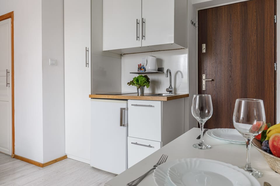Apartment, City View | Private kitchen | Full-size fridge, stovetop, electric kettle, cookware/dishes/utensils