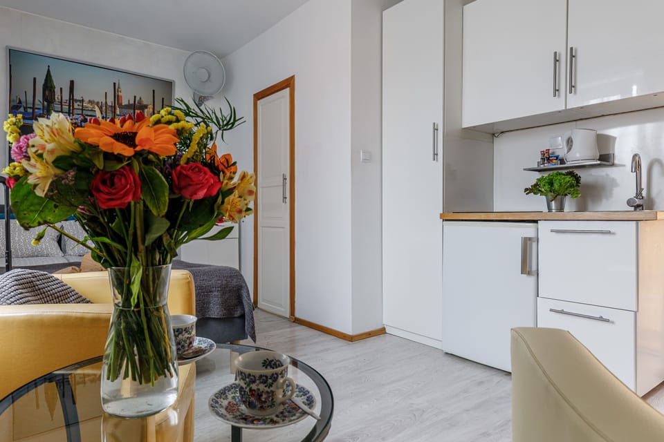 Apartment, City View | Living area | 32-inch flat-screen TV with cable channels, TV