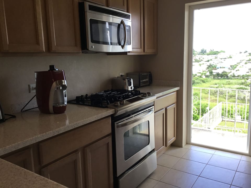 Traditional Apartment, 1 King Bed with Sofa bed, Valley View | Private kitchen | Fridge, microwave, oven, stovetop
