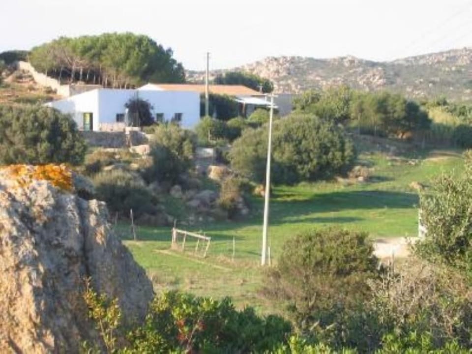 Overview