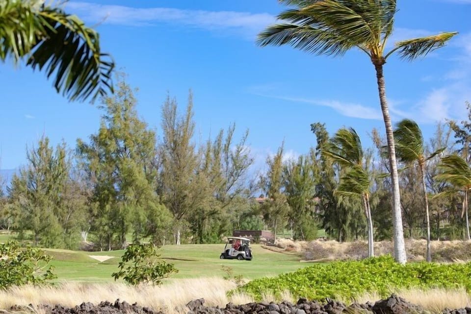 Golf course views