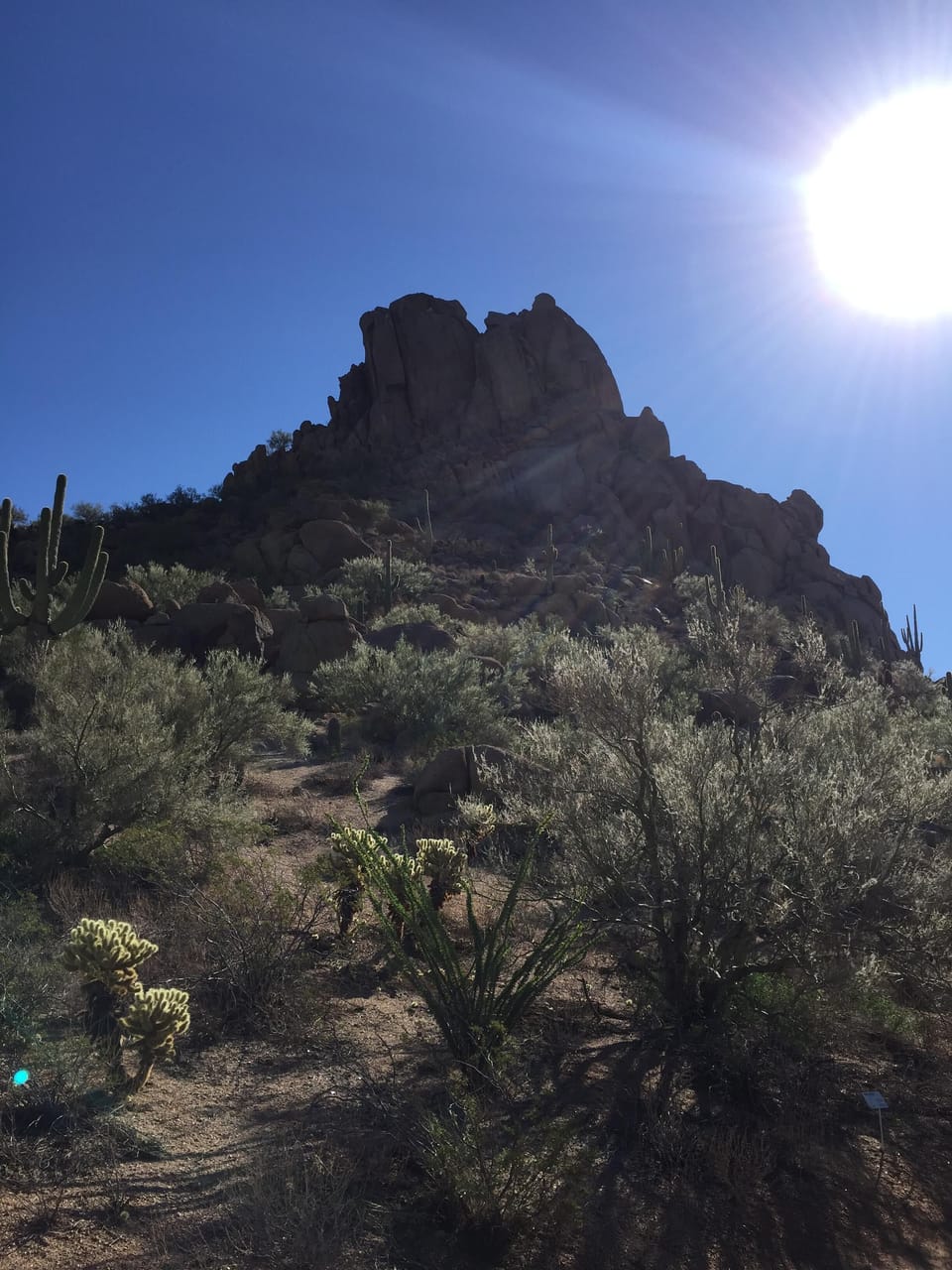 Hiking trails near by