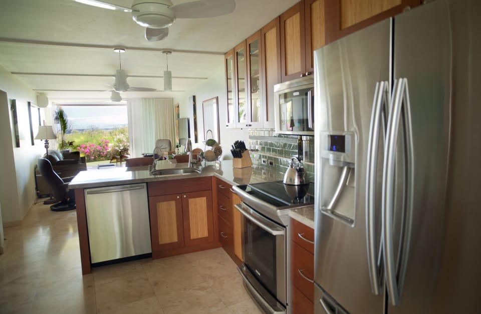 Kitchen facing the view