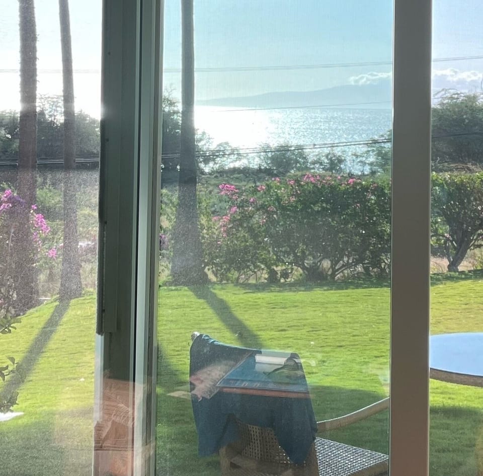 View from the living room - tree removal opened up a great ocean view.