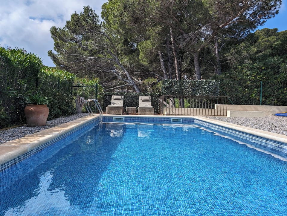 Pool with 2 rattan sun beds