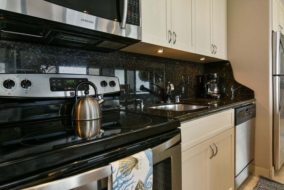 Modern, high-end kitchen featuring sleek black granite counters and premium stainless steel appliances.
