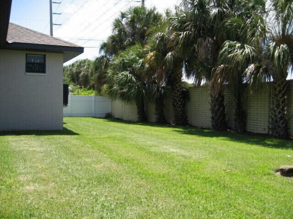 Gorgeous palm trees line the backyard