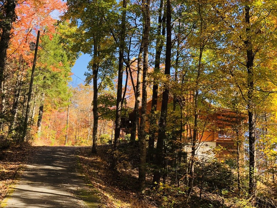 breathtaking fall color