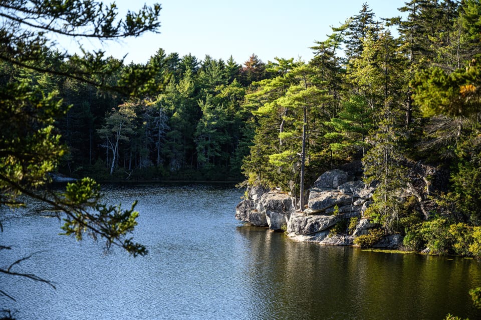 Peter's Pond (swimming pond near house)