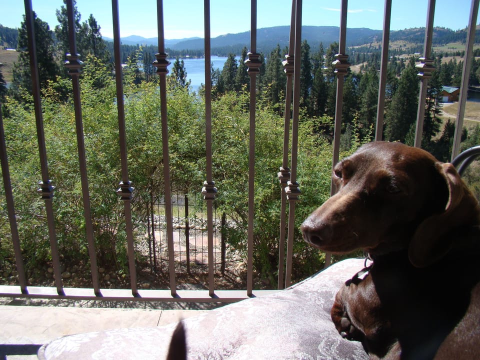 The dog days of summer from the main grand balcony