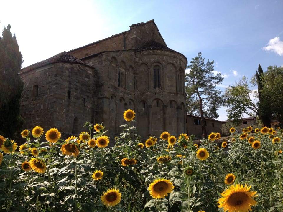 Castel de Romana