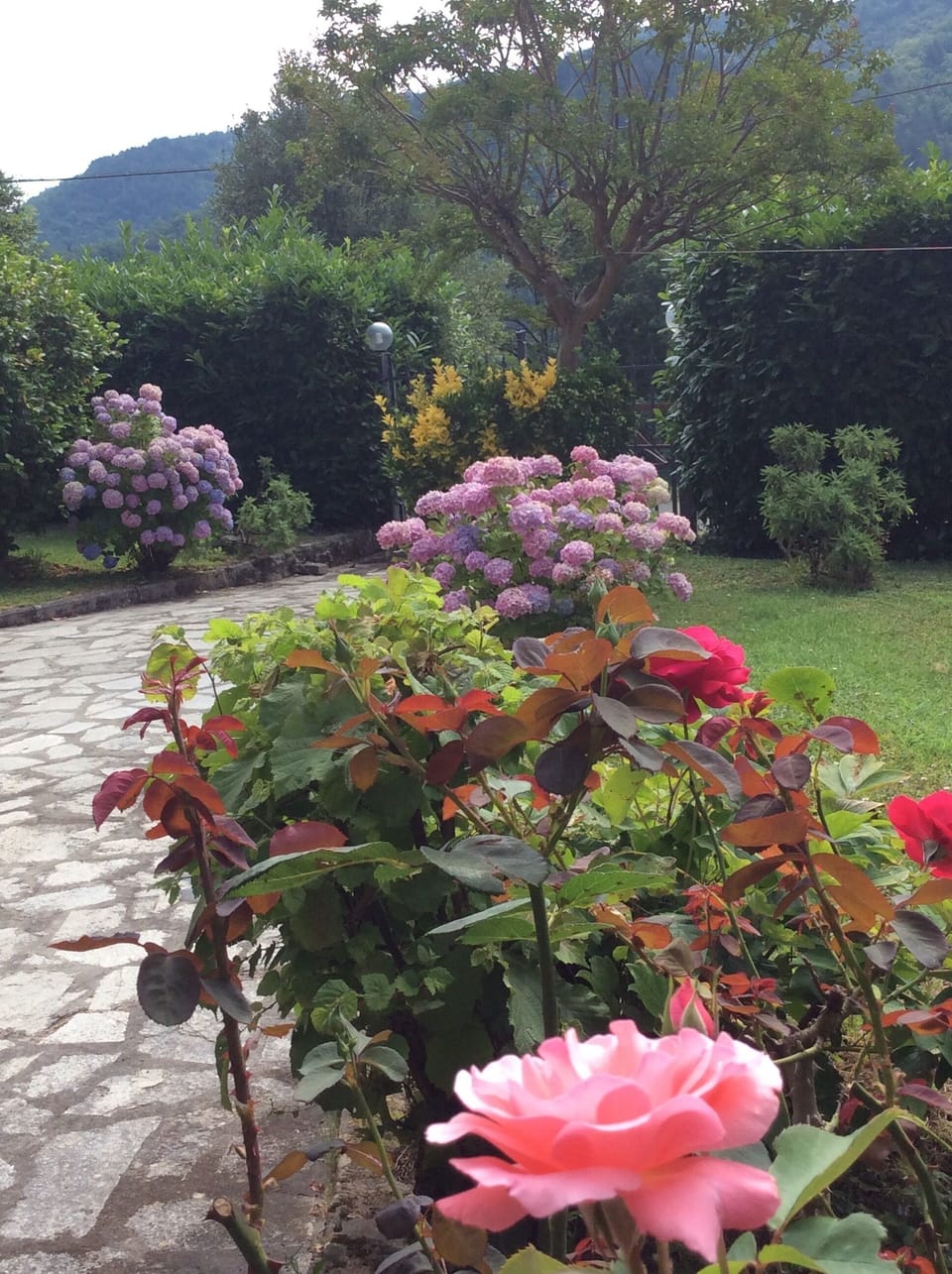 Garden entrance July 2016