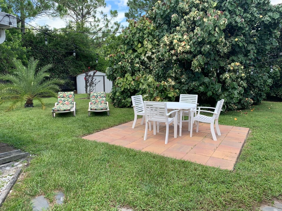 Backyard During the Day.