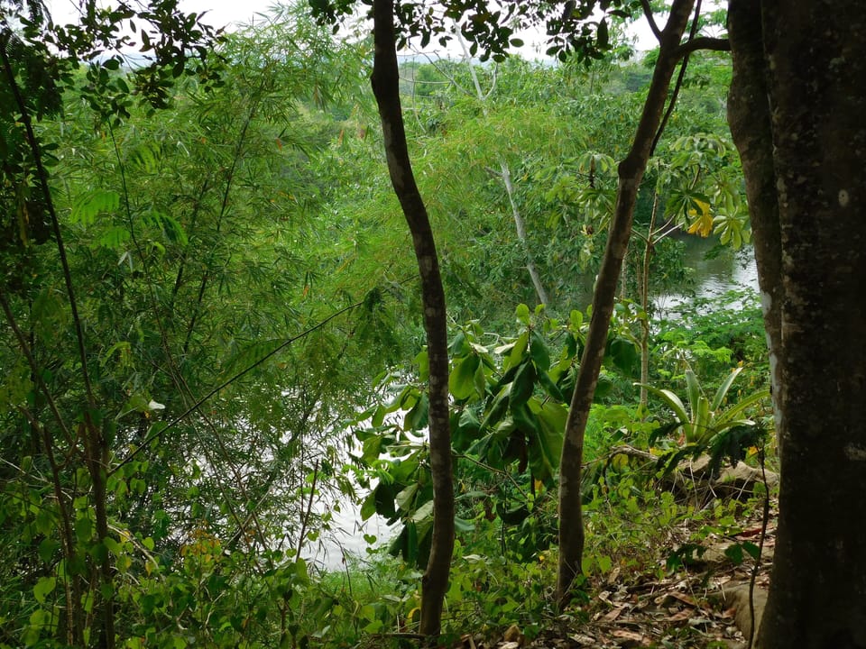 View from your deck.